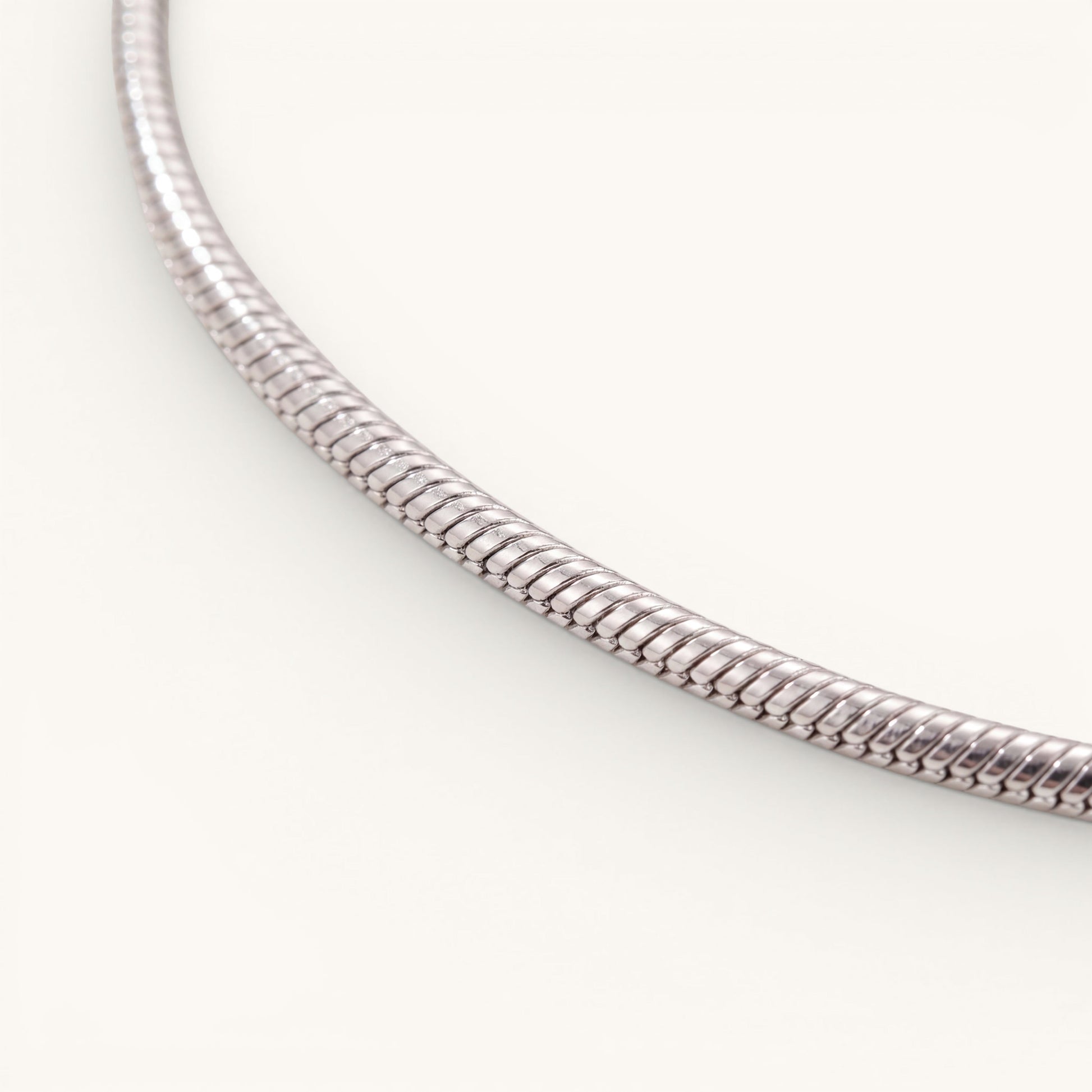 Snake Anklet Silver 6